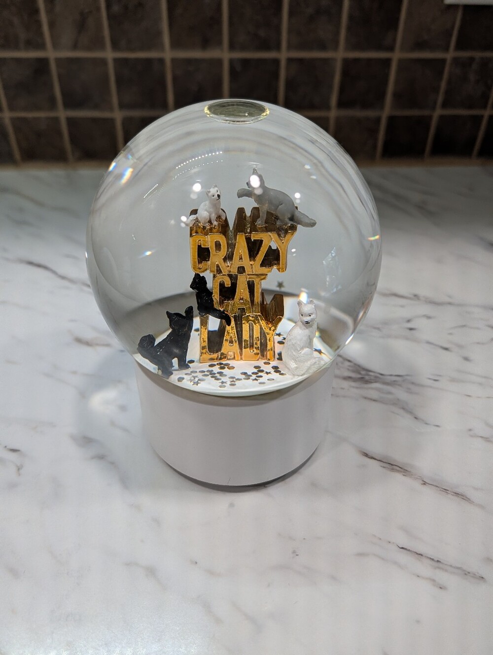 Snow globe Chapters Indigo